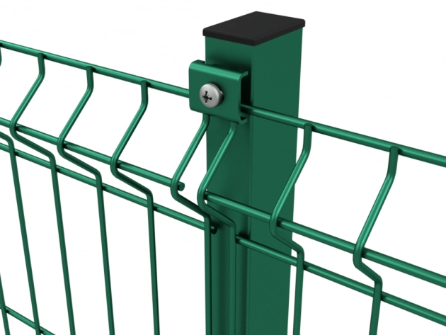 aa